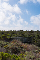 Views while hiking in Montana de Oro State Park. Some of those views are the rocky coastline, bluffs, birds, like seagulls and cormorants, breaking waves, pacific ocean, large trees, rolling hills