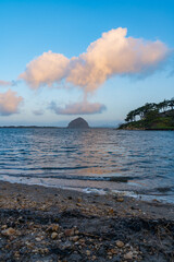 Morro Bay State Park views. Some of those views are the Morro Rock, the marshes, wetlands with many birds, elevated wooden path, starfish, smoke stacks, sand dunes, surfers, wildflowers, large trees.
