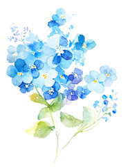 ワスレナグサの花の水彩イラスト／AI画像