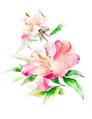 ツツジの花の水彩イラスト／AI画像