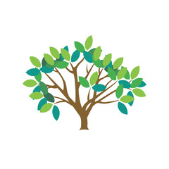 Obraz premium set of tree isolated on white background