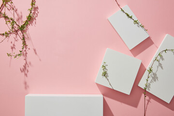 Abstract minimal nature scene - empty podiums and branches flower on pink background. Mockup scene...