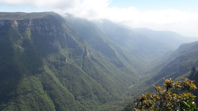 cambara