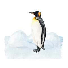 Emperor penguin in the snow landscape. Watercolor illustration. Hand drawn penguin bird standing on the ice with snow piles background. Natural North wildlife bird scene