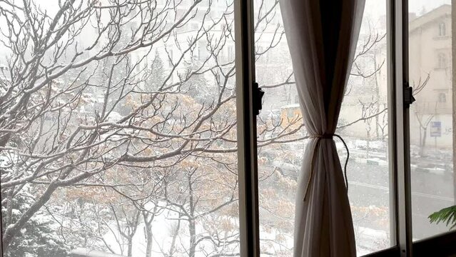 Living at home in cold freezing frozen winter when snowfall light snow cover the tree and street people walking with umbrella car driving to city center curtain on window warm house scenic landscape
