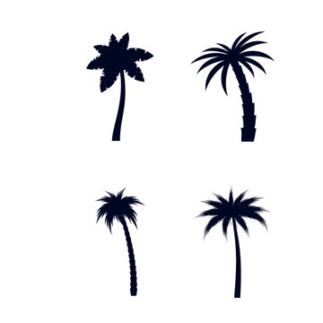 Set of African Rainforest Coconut Trees or Tropical Palm Trees on White Background. Simple Black Silhouette for T-shirt Prints. Tropical Nature Element