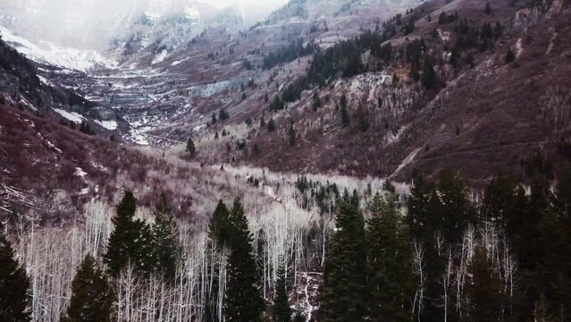 Flying Above Pine Forest Through Picturesque Wasatch Mountains At Winter In Hobble Creek Canyon, Utah. wide aerial
