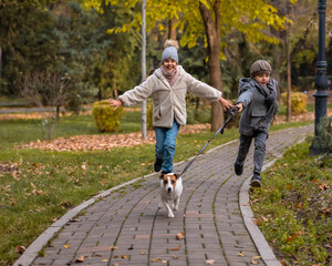 Fototapeta premium Brother and sister walk the dog in the park in autumn. Boy and girl running with jack russell terrier on a leash. 