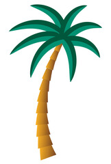 palm south tree vector illustration