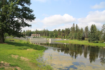 lake in the park