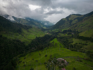 Cocora valley tall wax palm trees in salento quindio colombia green lush  mountains landscapes cloudy panorama 