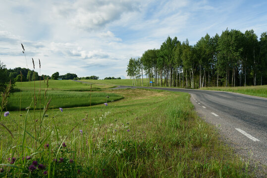 A view of a winding country road.