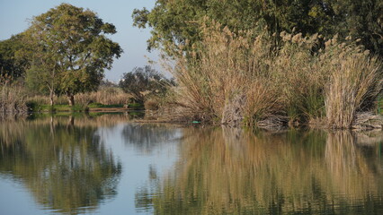 Fototapeta na wymiar Lake at Antipatris Fort Binar Bashi, Yarkon Tel-Afek National Park in the morning