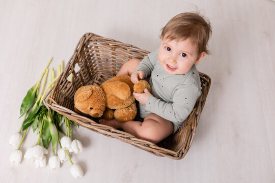 adorable baby in basket with flowers, white tulips, card, banner, space for text