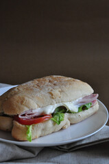 Ham Cheese Sandwich on White Plate