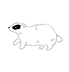 Vector isolated one single cute cartoon badger with black spot colorless black and white contour line easy drawing