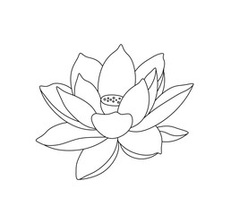 Vector isolated one single water lilly nenuphar flower blossom bud with petals  colorless black and white contour line easy drawing - obrazy, fototapety, plakaty