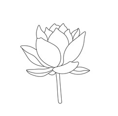 Vector isolated one single water lilly nenuphar flower blossom bud with petals  colorless black and white contour line easy drawing