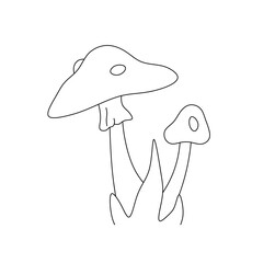 Vector isolated two pair amanita muscaria fly agaric mushroom in grass colorless black and white contour line easy drawing