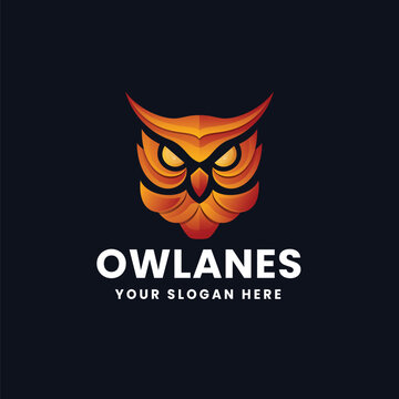 Abstract Owl Illustration Logo with Color Gradient