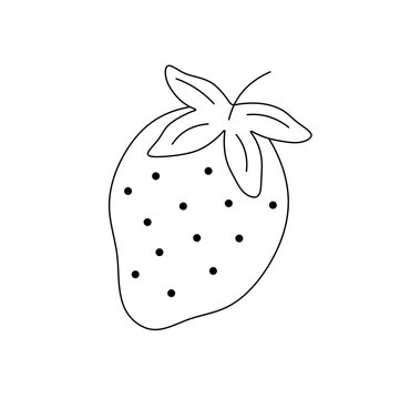 Vector isolated one single strawberry berry with black seeds and sepals colorless black and white contour line easy drawing
