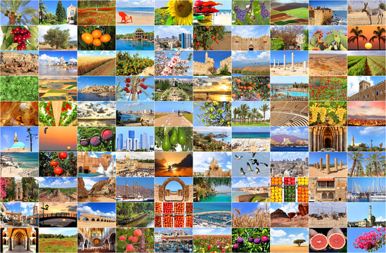 Israel. A country of three religions, nature and agriculture, sea and desert. Collage of our photos