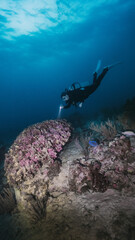 female scuba diver posing in front of coral reef in a night dive