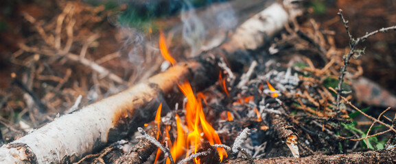 Burning branches and brushwood in fire close-up. Atmospheric warm background with orange flame of campfire and blue smoke. Beautiful full frame image of bonfire. Firewood burns in vivid flames.