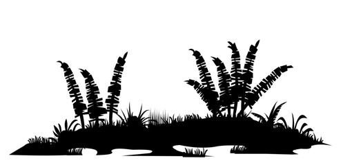 Bank of river or swamp with fern shoots. Swamp landscape. View of the river bank. Silhouette picture. Isolated on white background. Vector.
