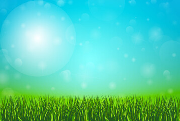 Fototapeta na wymiar Spring natural background with green grass and blue sky vector illustration