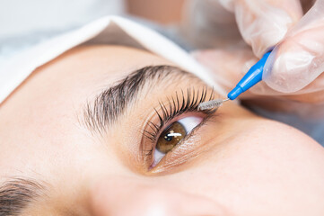 The master combs the eyelashes of the client after the lamination procedure. 