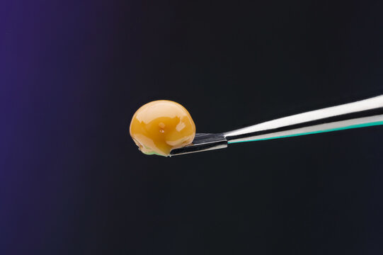 Live Rosin on a dab tool 