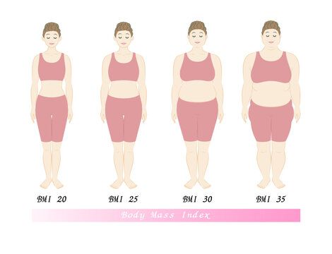 ボディマスインデックス 若い女性の体形変化 ダイエットのビフォーアフター 正面 イラスト ベクター