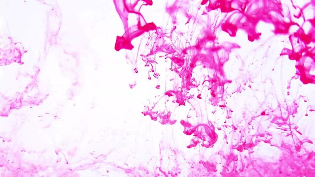 水に落ちるピンク色のインク　白背景 Pink ink falling in water White background