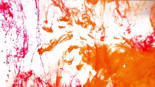 インクドロップ　水中を渦巻く赤とオレンジのインク　白背景　Ink drop Red and orange ink swirling in water White background
