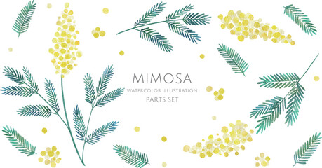 ミモザの水彩画イラストパーツセット