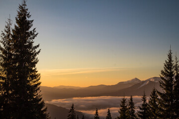Peaceful sunset view on mountain ranges and spruces landscape photo. Above clouds. Nature scenery...
