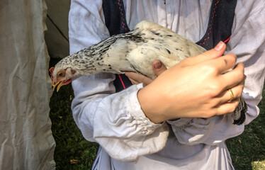 Girl holding a live chicken in her hands.  Free range chicken