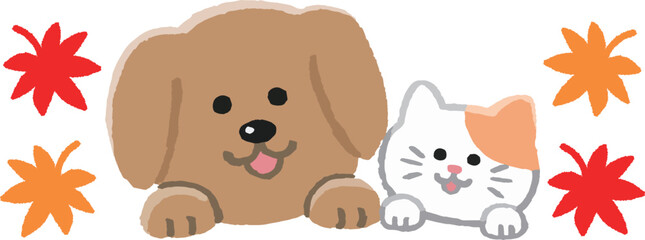 Á¥ÖËëâ„Å®È°î„Çí„ÅÆ„Åû„Åã„Åõ„ÇãÁä¨„Å®Áå´‰∫åÂåπ