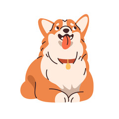 Cute Corgi breed dog. Obedient canine animal, pup. Purebred funny puppy lying and waiting with obedience. Adorable thoroughbred doggy looking up. Flat vector illustration isolated on white background