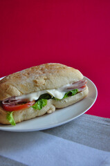 Ham Cheese Sandwich on Red Background