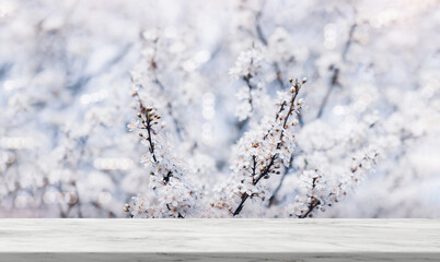 Empty Glossy marble shelf on Cherry blossom,Grey nature Marble table top on Defocused White Sakura flowers and light,Horizon scene Backdrop Background Display for Spring, Summer Product presentation