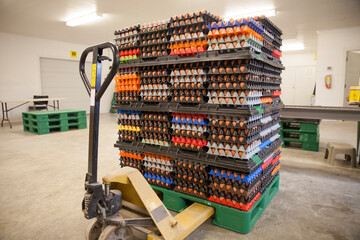 Brown eggs at commercial poultry farm.