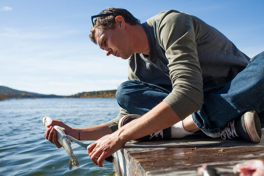 A fisherman guts and cleans a Rainbow Trout (Oncorhynchus mykiss) while sitting on a wooden dock.