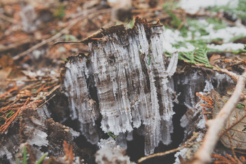Frost heaving (or a frost heave) is an upwards swelling of soil during freezing conditions caused by an increasing presence of ice as it grows towards the surface, upwards from the