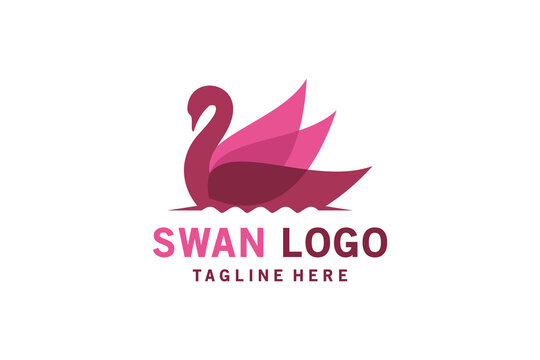 Modern abstract colorful beautiful swan logo design