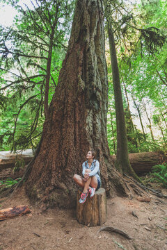 Young woman sitting on stump below ancient Douglas Fir tree in Cathedral Grove
