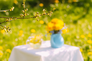 Herbal tea in a glass cup. Dandelion flowers in ceramic jug.