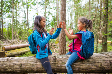 Young girls playing game while sitting on log in forest