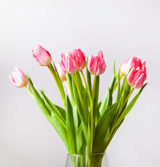 Pink tulip flowers. Beautiful spring floral composition.